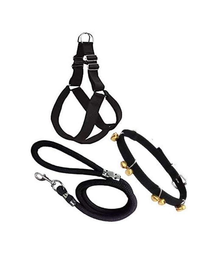 KittuPet Ghungroo Dog Combo Pack of Harness, Neck Collar Belt and Rope Set (Black, Medium) (Black Ghungroo)